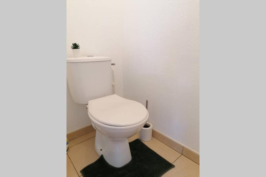 T2 Entier - Hyper Centre - Cosy Home Grenade-sur-Garonne Dış mekan fotoğraf