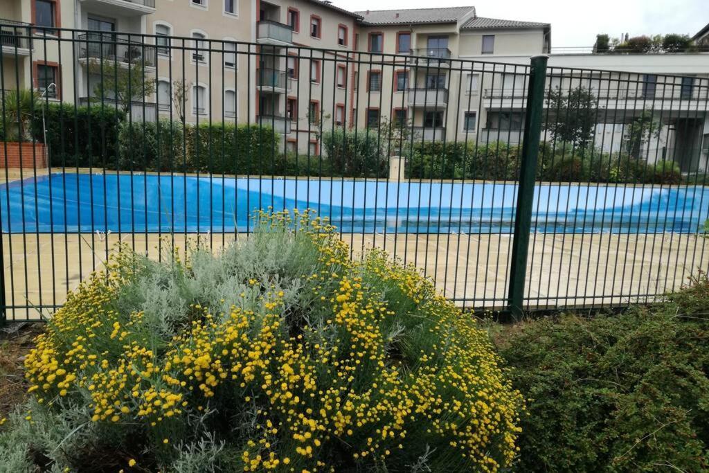 T2 Entier - Hyper Centre - Cosy Home Grenade-sur-Garonne Dış mekan fotoğraf